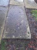 image of grave number 569002